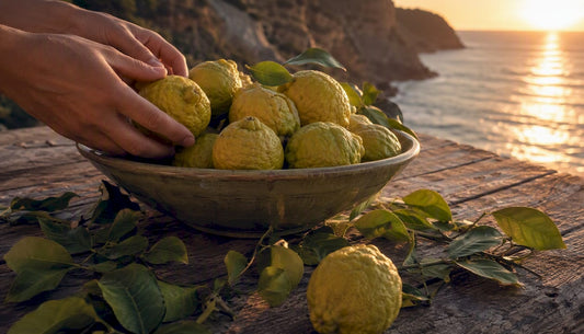 Naranjas frescas de bergamota en Calabría